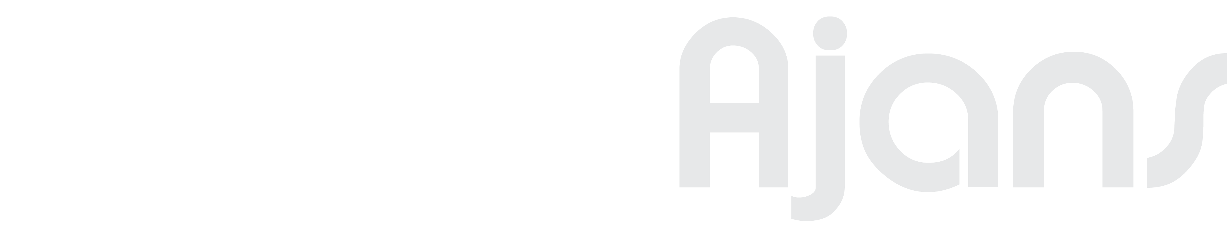 Ender Ajans White Logo
